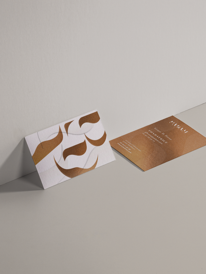 Illustration du projet Padam